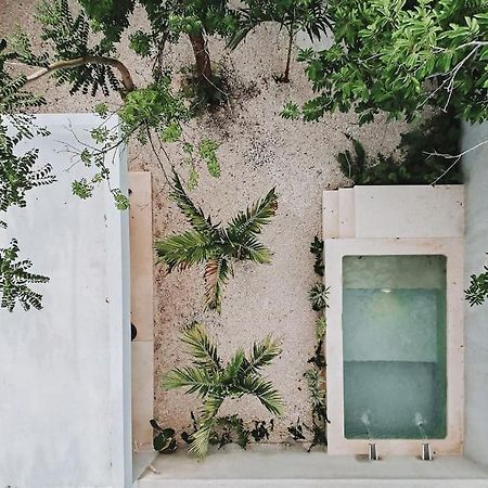 La Sultana: Amazing New House With Pool And Bikes Included. Villa Valladolid  Exterior photo